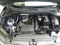 20180810_123334.jpg