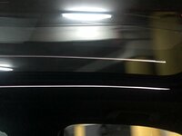 IMG_8264.jpg