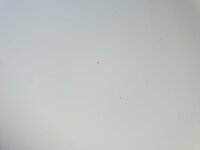 20181025_162702.jpg