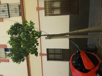 20160325_123240.jpg