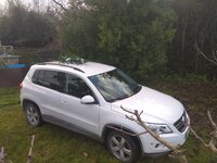 Navidad Tiguan Arbol.jpeg