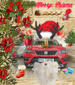 BlendChristmas1545561397143.png