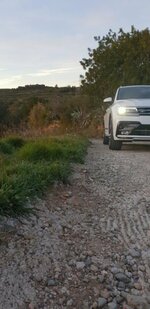 Borrar tiguan.jpeg