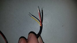20190130_110550.jpg