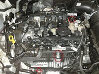 thumbnail_20190221_180736.jpg