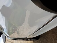 20190616_175619.jpg