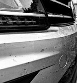 BA300256-9800-4D26-8A9B-DF3F8145A576.jpeg