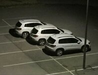 Tri Tiguan. SHAKTALE77, Shire, Molievolution.jpeg