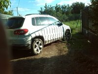IMG_20140712_194338.jpg