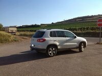 1-Viñas sin.jpg