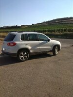 4-Viñas sin.jpg