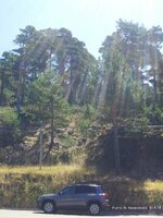 20140810_133706.jpg 20140810_133706.jpg