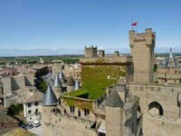 2014-08-11 11.54.37.jpg
