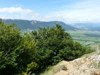2014-08-12 12.36.45.jpg