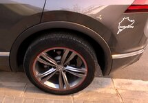 IMG_1155.jpg