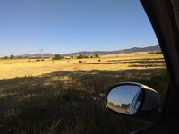 IMG_20190729_104733.jpg