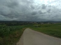 IMG_20190730_163728.jpg