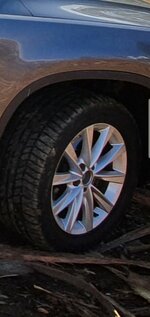 Screenshot_20191111-091119_Gallery.jpg