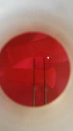 IMG_20191118_092640.jpg