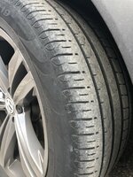 IMG_1509.jpg