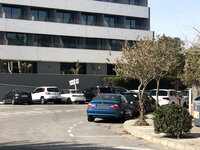 IMG_9525.jpg