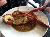 IMG_9535.jpg