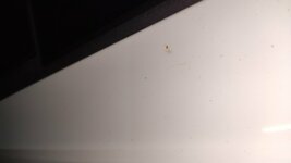 IMG_20200929_114235.jpg