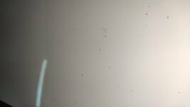 IMG_20200929_114225.jpg