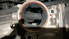 B238E849-6C10-4552-A448-CFA8AAB866E9.jpg