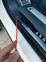 IMG_20210129_150307.jpg