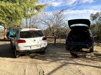 IMG_3019.jpg