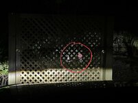C2B35DAF-34B3-4B88-8FAC-EBA8EE68DA51.jpeg