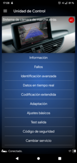 Screenshot_20210413-170833_OBDeleven.png