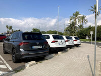 IMG_5786.jpg
