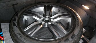 IMG_20220117_190755.jpg