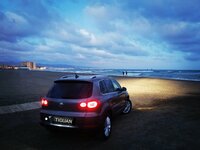 IMG_20220122_191011.jpg