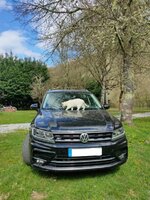 IMG_20220122_213604.jpg