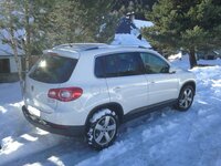 TIGUAN 003.jpg