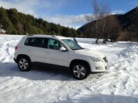 TIGUAN 014.jpg