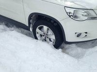 TIGUAN 019.jpg