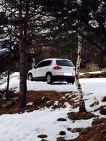 TIGUAN 022.jpg