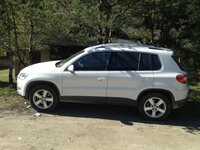 TIGUAN 026.jpg