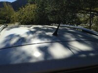 TIGUAN 028.jpg