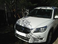 TIGUAN 029.jpg