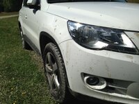 TIGUAN 031.jpg