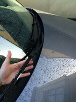 IMG_3059.JPG
