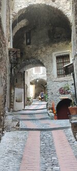 IMG_20220624_120326.jpg