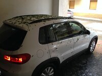 IMG_0007.JPG
