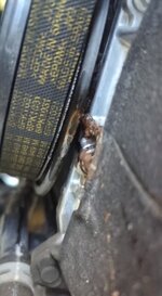 VideoCapture_20230216-170215.jpg