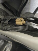 IMG_0253.jpeg
